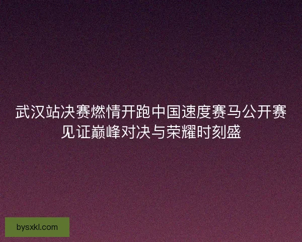 武汉站决赛燃情开跑中国速度赛马公开赛见证巅峰对决与荣耀时刻盛